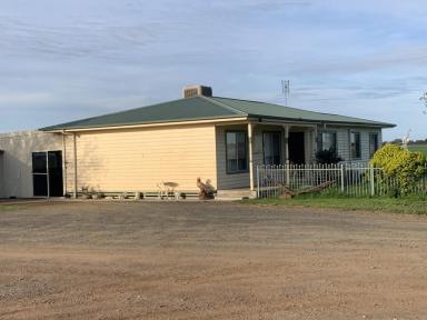 Mixed Farming Sold - VIC - Rochester - 3561 - Lot 1 - Finest quality soils.  (Image 2)