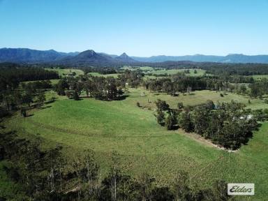Lifestyle Sold - NSW - Killabakh - 2429 - A PEACEFUL LOCATION WITH PRODUCTIVE ACRES  (Image 2)