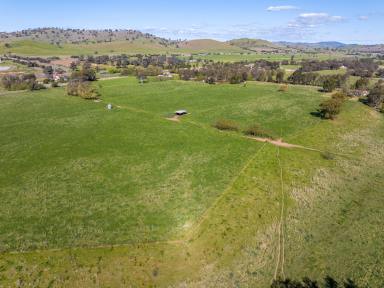 Mixed Farming For Sale - NSW - Coolac - 2727 - PERMENANT CREEK FRONTAGE WITH ARABLE FLATS  (Image 2)