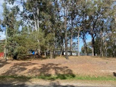 Residential Block For Sale - QLD - Macleay Island - 4184 - High with Water Views  (Image 2)