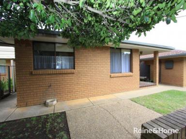 Unit For Lease - NSW - Lake Albert - 2650 - IN THE HEART OF LAKE ALBERT  (Image 2)