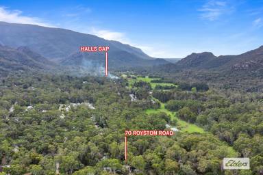 Residential Block For Sale - VIC - Halls Gap - 3381 - Build Your Future In Halls Gap  (Image 2)