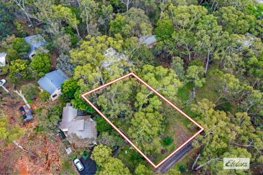 Residential Block For Sale - VIC - Halls Gap - 3381 - Build Your Future In Halls Gap  (Image 2)