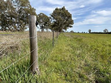 Other (Rural) For Sale - VIC - Apsley - 3319 - Attractive Grazing Parcel 127 Acres.  (Image 2)