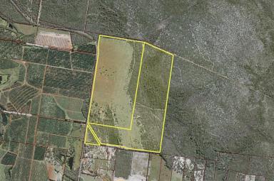Livestock For Sale - QLD - Goodwood - 4660 - GRAZING LAND, 200 ACRES OF CULTIVATION, 9Ml BORE ALLOC. | 2 TITLES  (Image 2)
