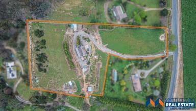 House For Sale - VIC - Myrtleford - 3737 - Lifestyle Property close to town  (Image 2)