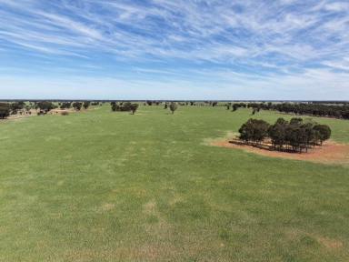 Mixed Farming Sold - NSW - Cowabbie - 2652 - EXCITING OPPORTUNITY  - 627 ACRES ASKING 1,300,000.00  (Image 2)