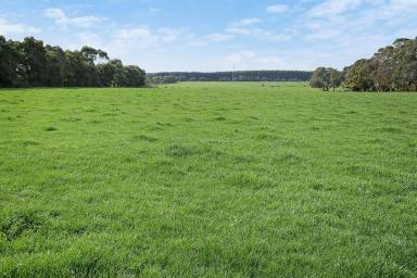 Dairy For Sale - VIC - Swan Marsh - 3249 - PRODUCTIVE VERSATILE COLAC DISTRICT PROPERTY  (Image 2)