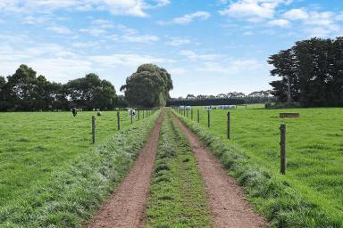 Dairy For Sale - VIC - Swan Marsh - 3249 - PRODUCTIVE VERSATILE COLAC DISTRICT PROPERTY  (Image 2)