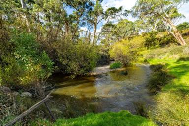 Cropping For Sale - VIC - Grenville - 3352 - NOTED BALLARAT DISTRICT PROPERTY  (Image 2)