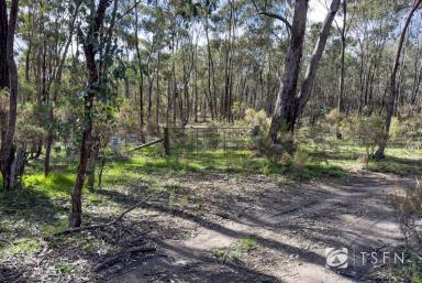 Residential Block For Sale - VIC - Axe Creek - 3551 - Embrace Nature&apos;s Serenity on 20 Acres  (Image 2)