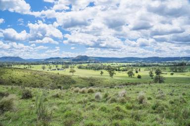 Other (Rural) Sold - NSW - Glen William - 2321 - Unlimited Potential  (Image 2)