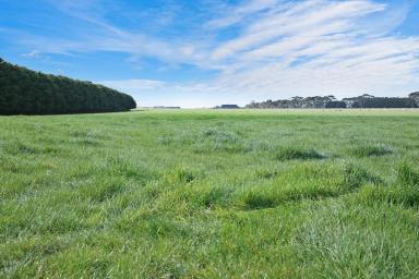Cropping Sold - VIC - Irrewarra - 3249 - OUTSTANDING COLAC DISTRICT COUNTRY  (Image 2)