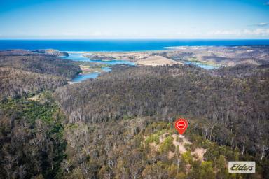 Residential Block For Sale - NSW - Chinnock - 2550 - Old Vimy Ridge Gold Mine  (Image 2)