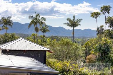House Sold - NSW - Bellingen - 2454 - Character Filled Bellingen Home with Stunning Views and Breeze  (Image 2)