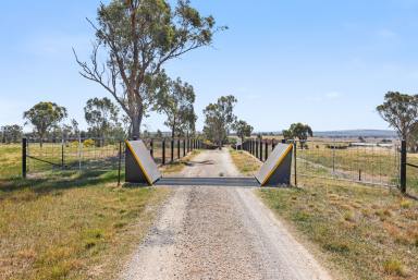 Acreage/Semi-rural Sold - NSW - Tamworth - 2340 - VENDOR SAYS SELL- Must Be sold  (Image 2)
