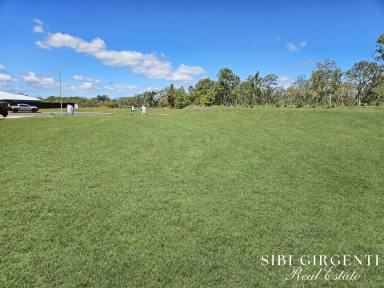 Residential Block For Sale - QLD - Mareeba - 4880 - READY FOR YOUR DREAM HOME  (Image 2)