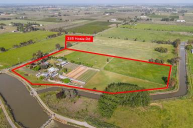 Acreage/Semi-rural For Sale - VIC - Shepparton East - 3631 - Rare Lifestyle Acreage Offering with Extensive Animal & Rural Infrastructure (Image 2)