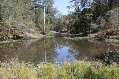 Acreage/Semi-rural Sold - QLD - North Deep Creek - 4570 - LUXURY & NATURAL BEAUTY  (Image 2)