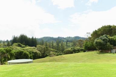 Block of Units For Sale - NSW - Norfolk Island - 2899 - Perfect Island location with unlimited opportunity  (Image 2)