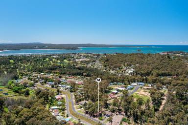 Residential Block For Sale - NSW - Catalina - 2536 - Dirt Cheap - $229,000  (Image 2)