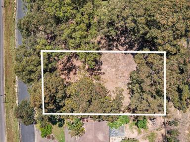 Residential Block For Sale - NSW - Catalina - 2536 - Dirt Cheap  (Image 2)