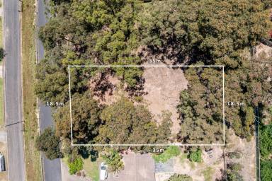 Residential Block For Sale - NSW - Catalina - 2536 - Dirt Cheap  (Image 2)