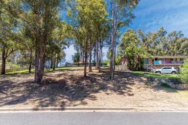 Residential Block For Sale - NSW - Catalina - 2536 - Dirt Cheap  (Image 2)