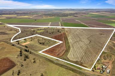 Mixed Farming For Sale - QLD - Oakey - 4401 - Lifestyle With Dual Living!!  (Image 2)