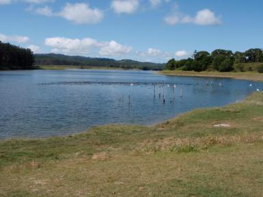 Other (Rural) For Sale - QLD - Dimbulah - 4872 - 50ML WATER ALLOCATION - DIMBULAH  (Image 2)