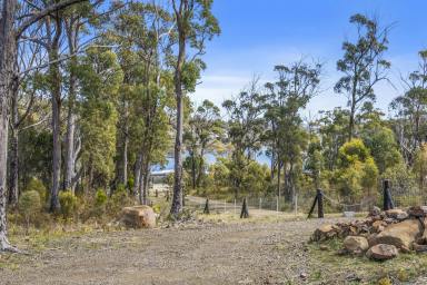 Residential Block Sold - TAS - Murdunna - 7178 - Over 9 acres, walking distance to the coastal walking track and to the local Murdunna Roadhouse for your morning coffee or seaside stroll.  (Image 2)