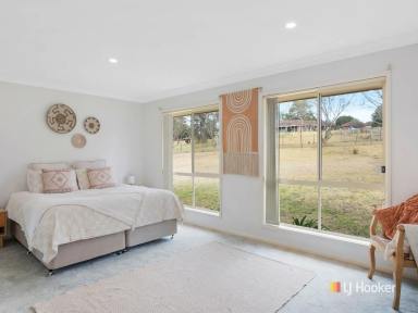 House Sold - NSW - Bega - 2550 - IMMACULATE FAMILY HOME  (Image 2)