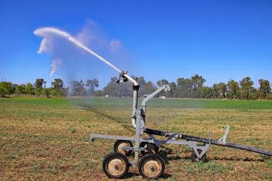 Mixed Farming For Sale - QLD - Mount Murchison - 4715 - Callide Creek Irrigation | Hay - Grain - Beef  (Image 2)