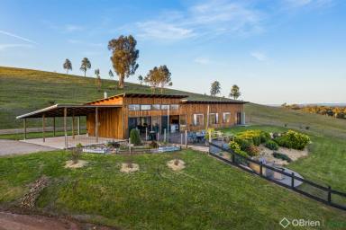 Other (Rural) Sold - VIC - Greta West - 3675 - Exquisite Property with Mountain Views  (Image 2)
