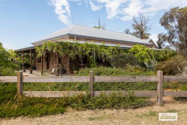Mixed Farming For Sale - VIC - Rochester - 3561 - "The Settlement", Perfect Set Up for Stud Breeding or Agistment. Rural Luxury Adjacent to Rochester Golf Club. 98.37 Acres / 39.81 Hectares  (Image 2)