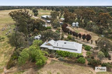 Mixed Farming For Sale - VIC - Rochester - 3561 - "The Settlement", Perfect Set Up for Stud Breeding or Agistment. Rural Luxury Adjacent to Rochester Golf Club. 98.37 Acres / 39.81 Hectares  (Image 2)