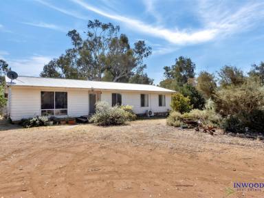 House Sold - SA - Cambrai - 5353 - Secluded oasis. 1.89 Ha, River Red gums, comfortable and affordable country property. Tranquility and space.  (Image 2)