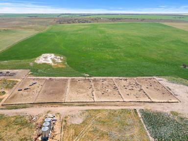 Mixed Farming Sold - SA - Wynarka - 5306 - TWO PROPERTIES WITH A 3500 HEAD FEEDLOT PLUS HEALTHY CROPPING AND TERRIFIC GRAZING ON THE HIGHLY REGARDED MARMON JABUK RANGE  (Image 2)