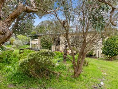 House For Sale - VIC - Sandy Point - 3959 - Comfort close to the coast  (Image 2)