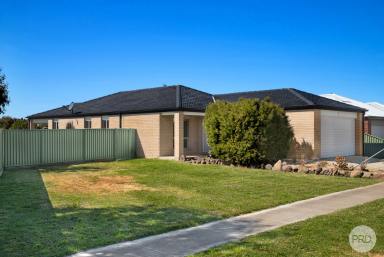 House Leased - VIC - Miners Rest - 3352 - NEAT FOUR BEDROOM HOME IN MINERS REST  (Image 2)