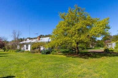 Livestock Sold - VIC - Caramut - 3274 - Outstanding Caramut District property  (Image 2)