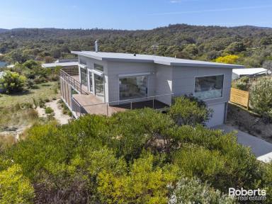 House Sold - TAS - Coles Bay - 7215 - Modern Coastal Living  (Image 2)