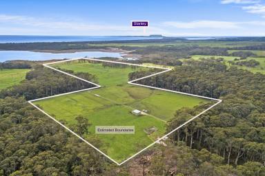 Livestock For Sale - TAS - Smithton - 7330 - Invest in a Rural LifeStyle Block 26.29 Hectares with Water Views.  (Image 2)