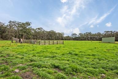 Livestock For Sale - TAS - Smithton - 7330 - Invest in a Rural LifeStyle Block 26.29 Hectares with Water Views.  (Image 2)