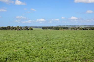 Dairy Sold - VIC - Larpent - 3249 - ATTRACTIVE QUALITY COLAC DISTRICT PROPERTY  (Image 2)