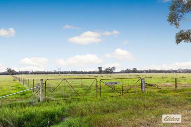 Other (Rural) Sold - VIC - Goornong - 3557 - Private, Peaceful & Productive  (Image 2)