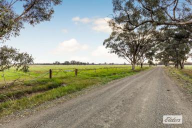 Other (Rural) Sold - VIC - Goornong - 3557 - Private, Peaceful & Productive  (Image 2)