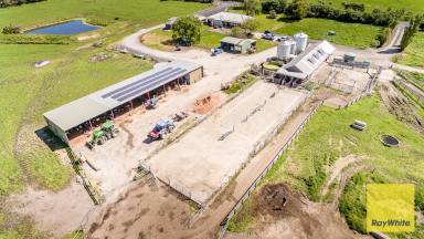 Dairy For Sale - VIC - Inverloch - 3996 - Outstanding Dairy Opportunity  (Image 2)