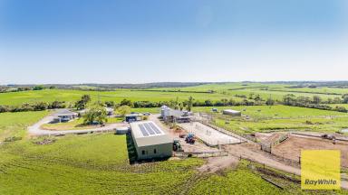 Dairy For Sale - VIC - Inverloch - 3996 - Outstanding Dairy Opportunity  (Image 2)