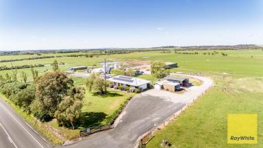 Dairy For Sale - VIC - Inverloch - 3996 - Outstanding Dairy Opportunity  (Image 2)